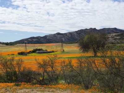 namaqualand