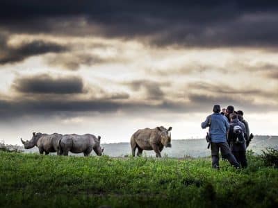 rhino imfolozi hluhluwe game reserve