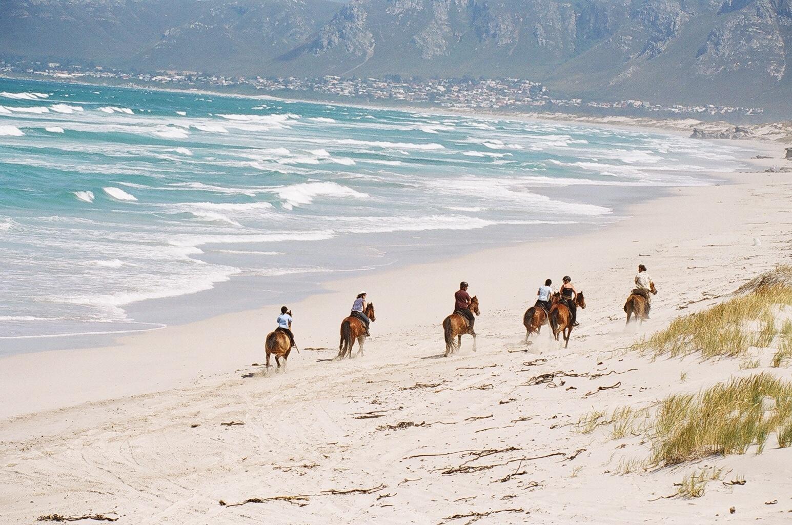 grootbos-beach-horse-riding cavalli in spiaggia