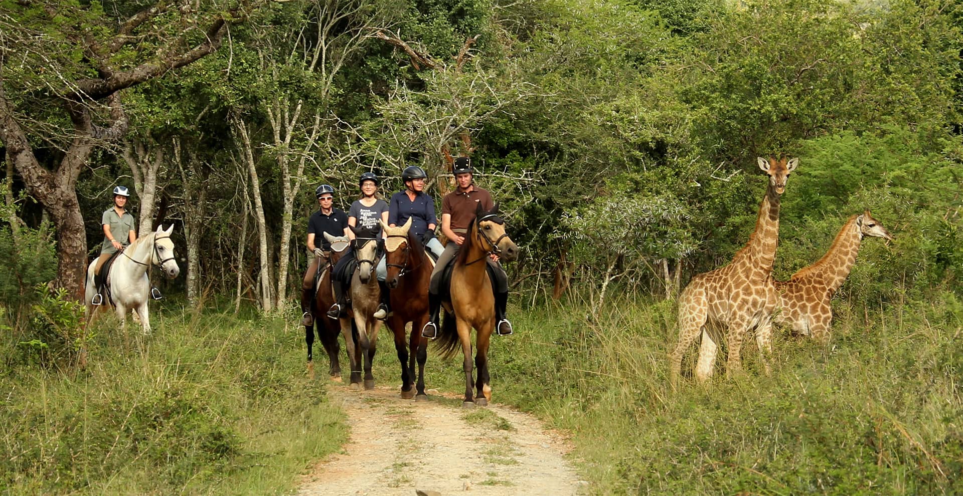 pakamisa-lodge-horse-riding Quattro cavalieri vicino a una giraffa