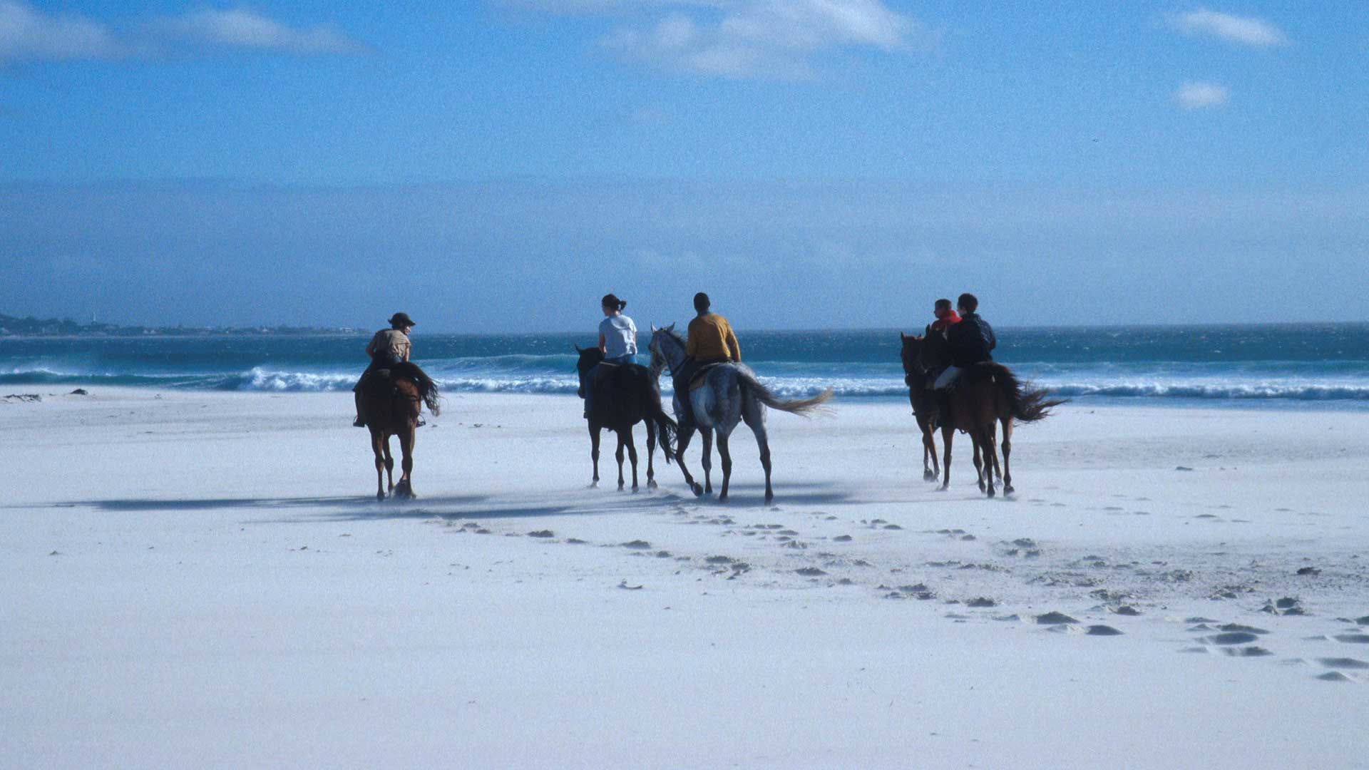 noordhoek a cavallo a cavallo sulla spiaggia di noordhoek