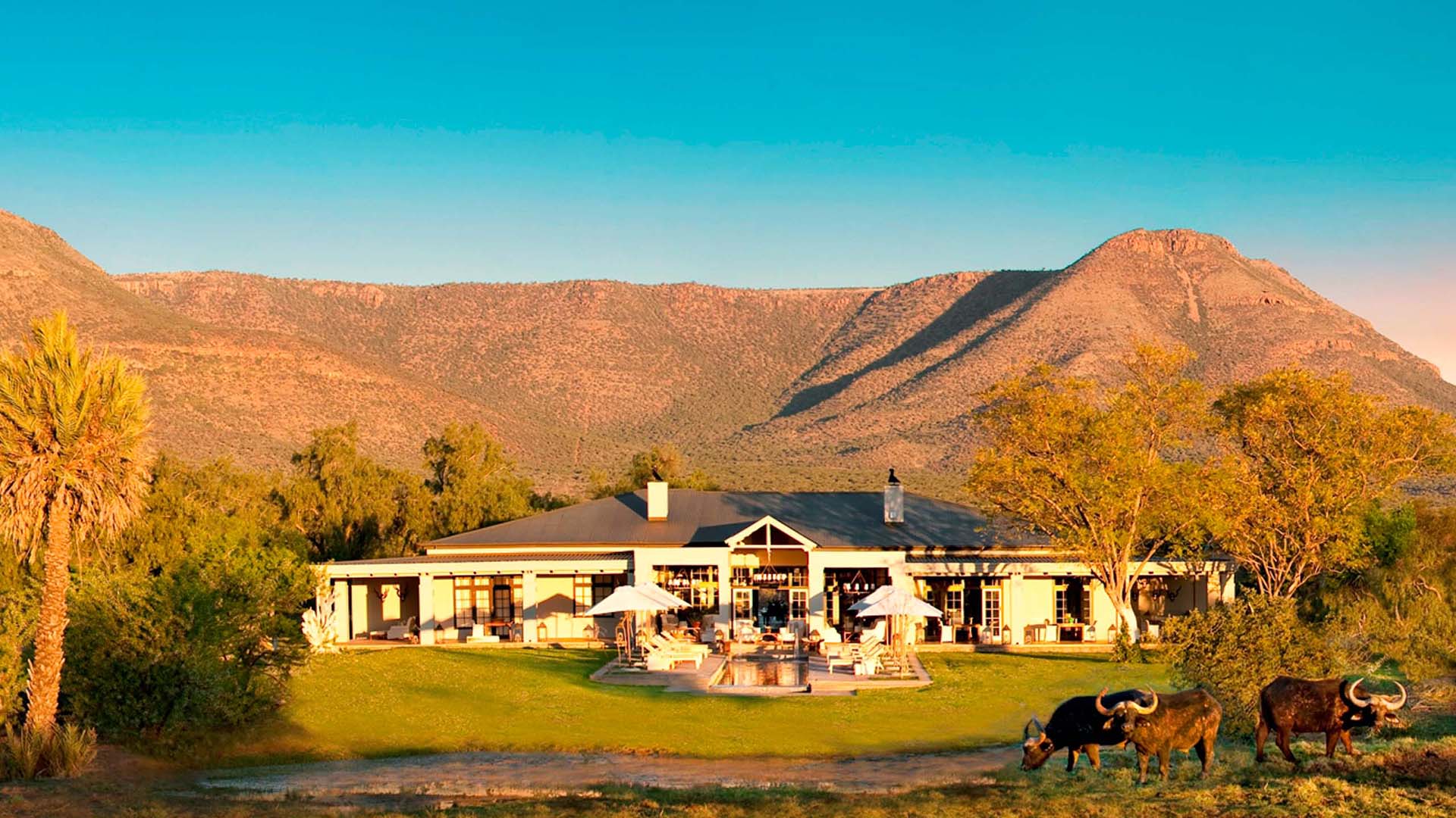 samara_game_reserve-1 ingresso del the manor nella samara private game reserve