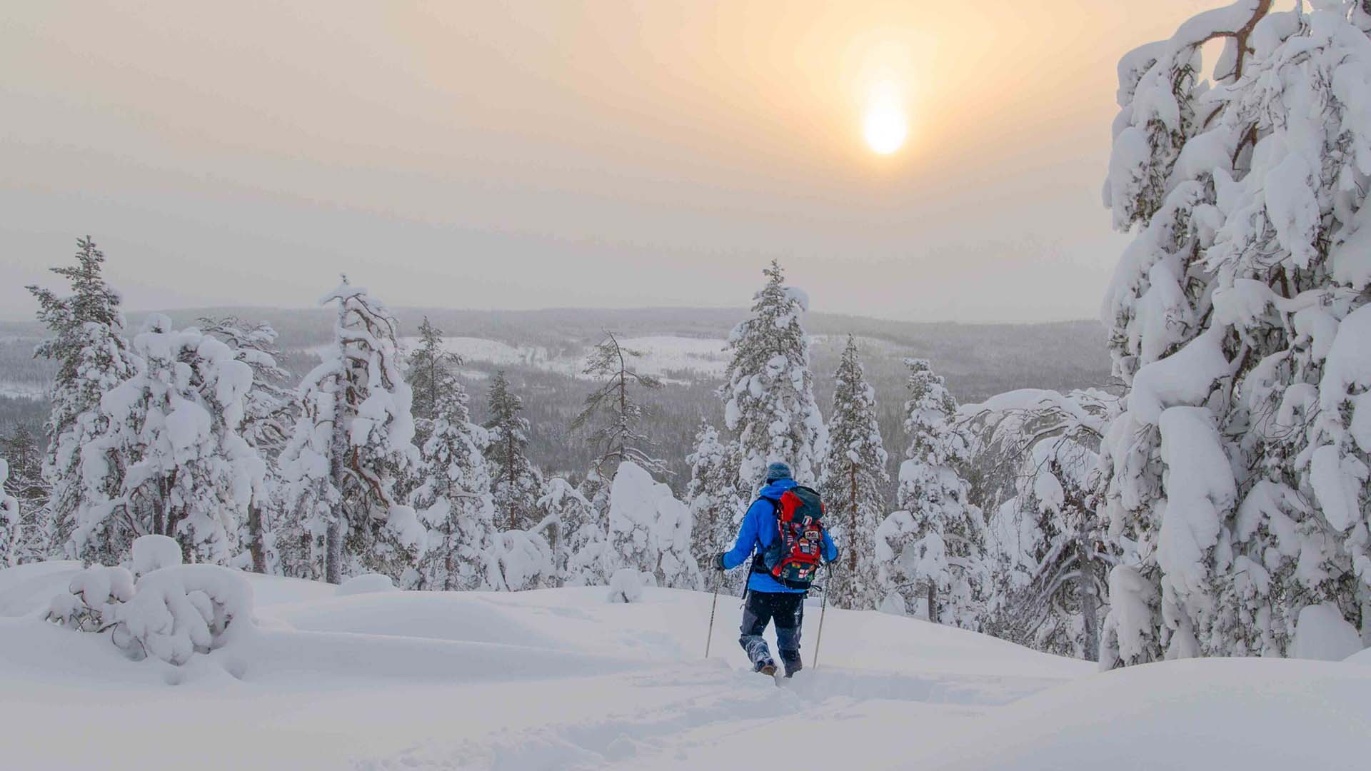 Finland winter outdoor sciatore di fondo nella neve fresca in Finlandia