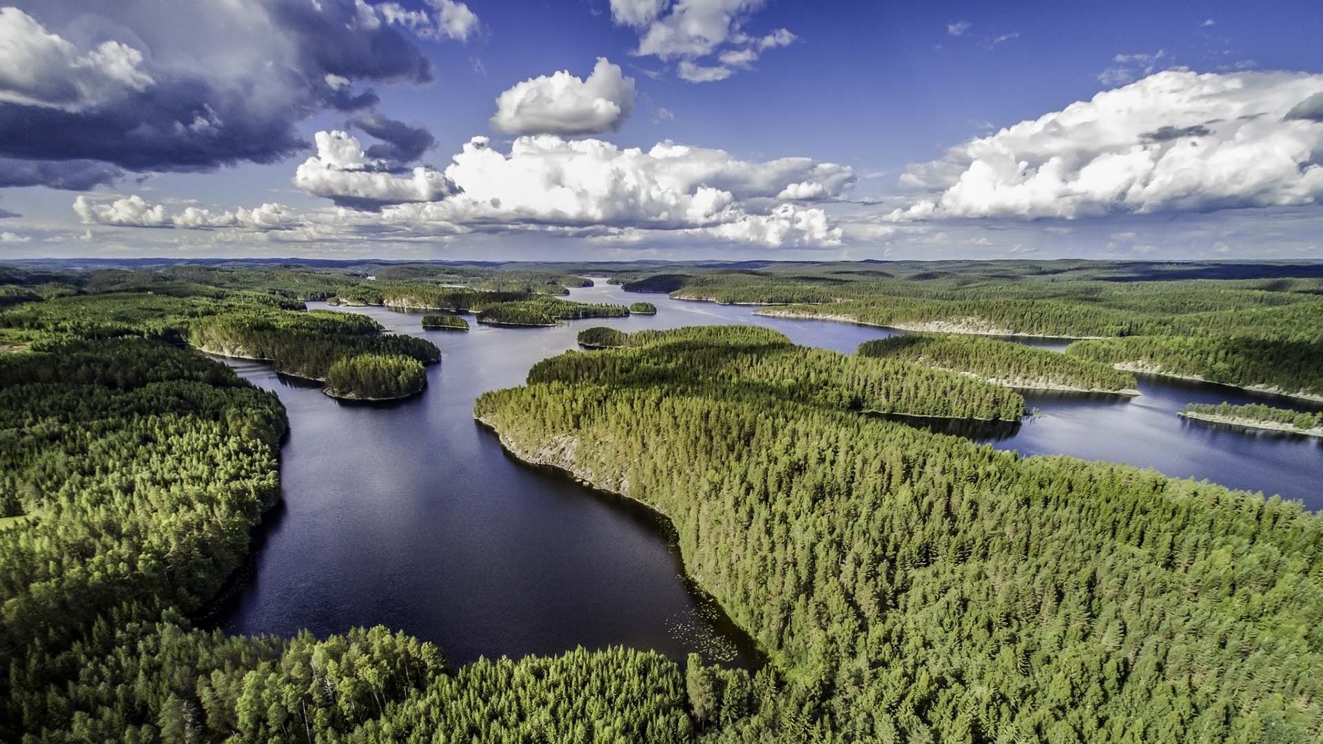 Oravi-Kolovesi-National-park isolotti del lago saimaa ricoperti da fitte foreste nel kolovesi national park