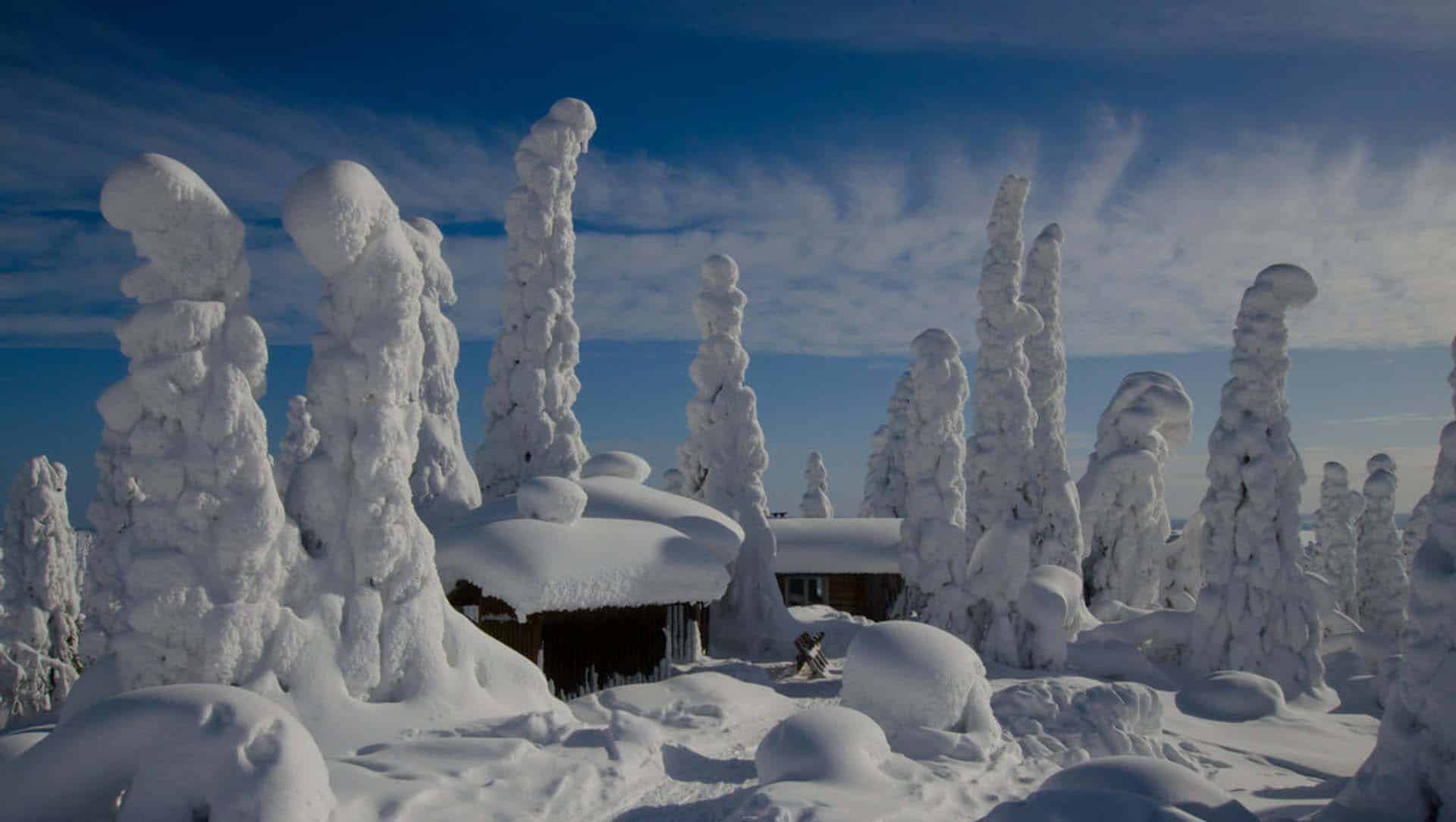 finland-tykky-in-riisitunturi-national-park chalet nella neve del riisitunturi national park