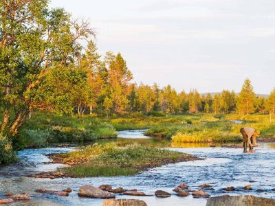 lemmenjoki national park