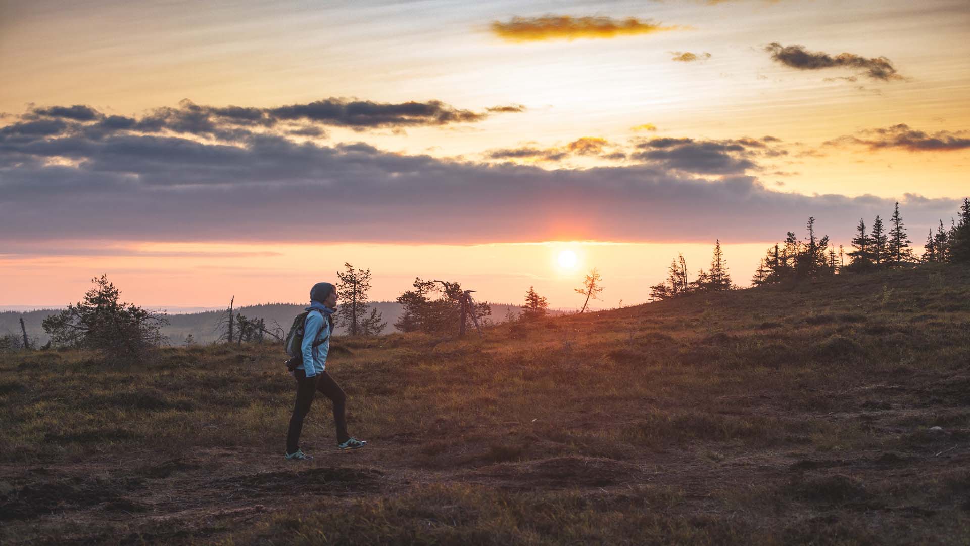 riisitunturi national park finland trekker nel riisitunturi national park