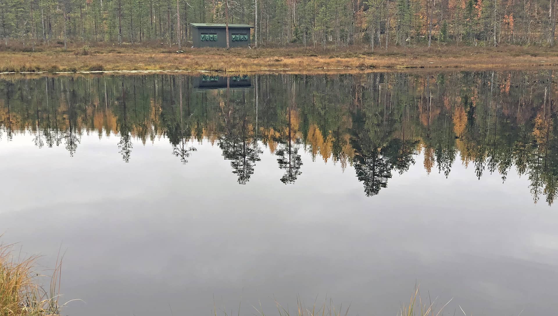 bear photo hide2 hide del bear centre di kumho visto dall'altra sponda dello stagno