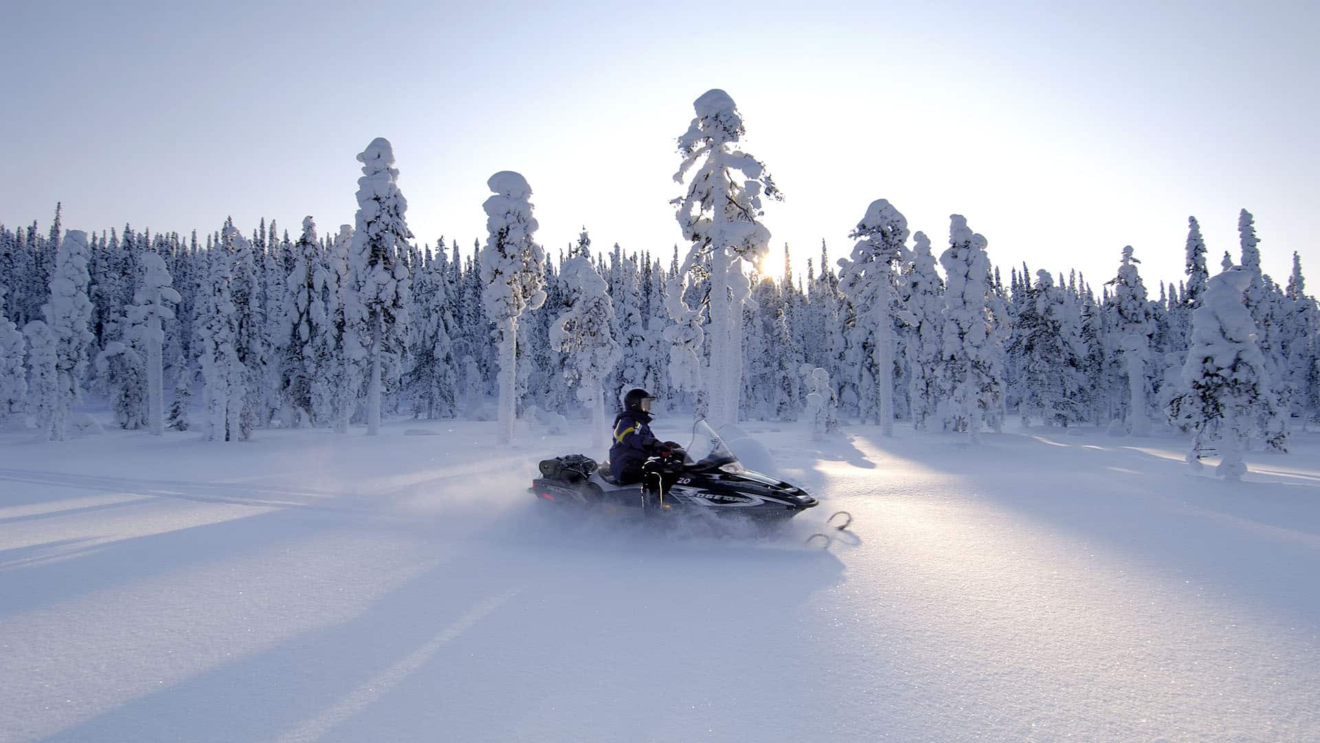snowmobile finnish lapland motoslitta nelle nevi della foresta della Lapponia finlandese