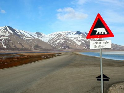 Polar_bear_sign_Svalbard