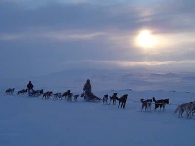 husky safari alta to karasjok