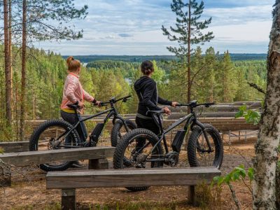 jarvisydan fat bike