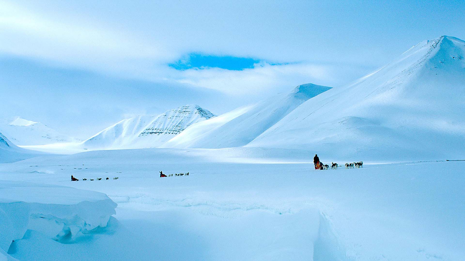 svalbard dogsledding cani da slitta alle isole svalbard