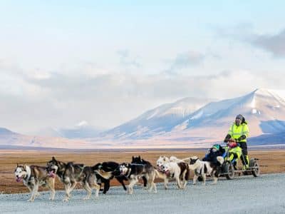 svalbard dogsledging autumn