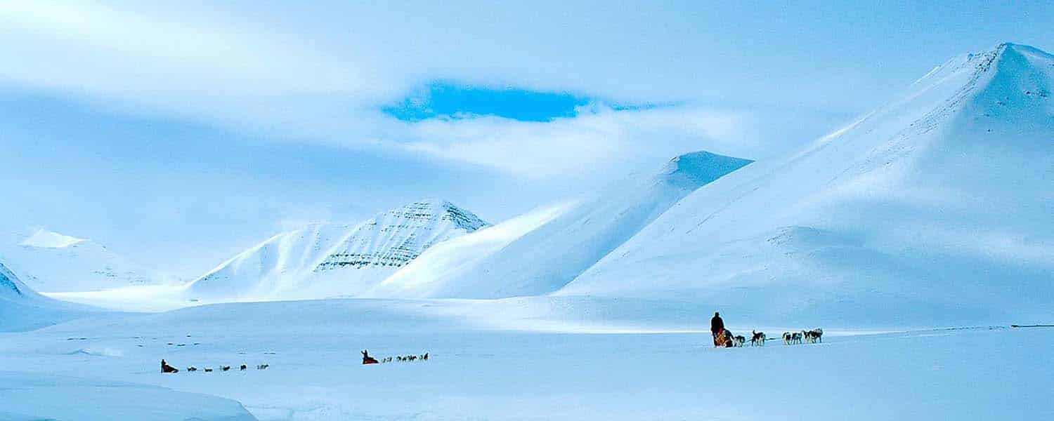 banner arctic experience husky safari alle svalbard
