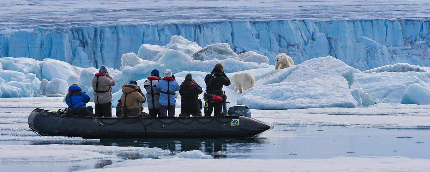 banner spedizioni naturalistiche orsi bianchi sulla banchisa fotografati dal gommone alle svalbard