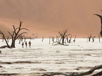 Namib Desert: Sossusvlei & Deadvlei