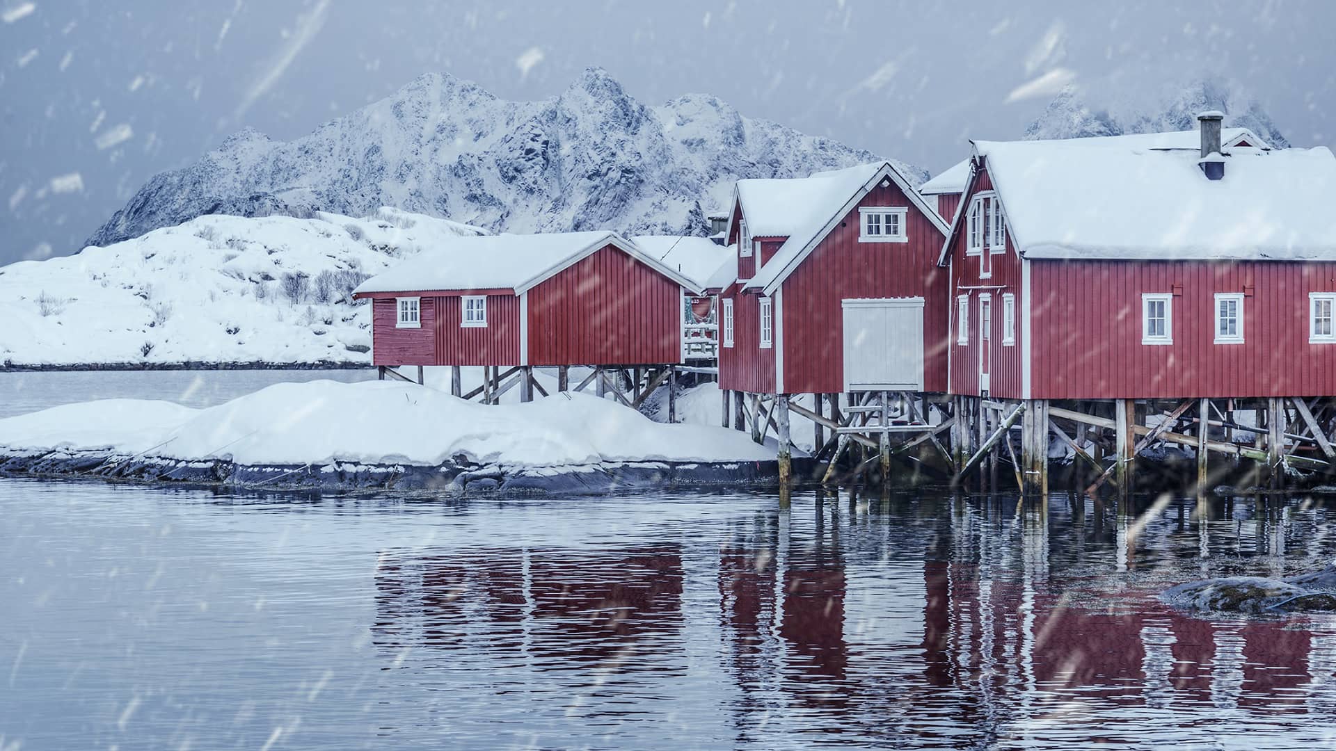 svinoya snow Tour Svolvær, Isole Lofoten