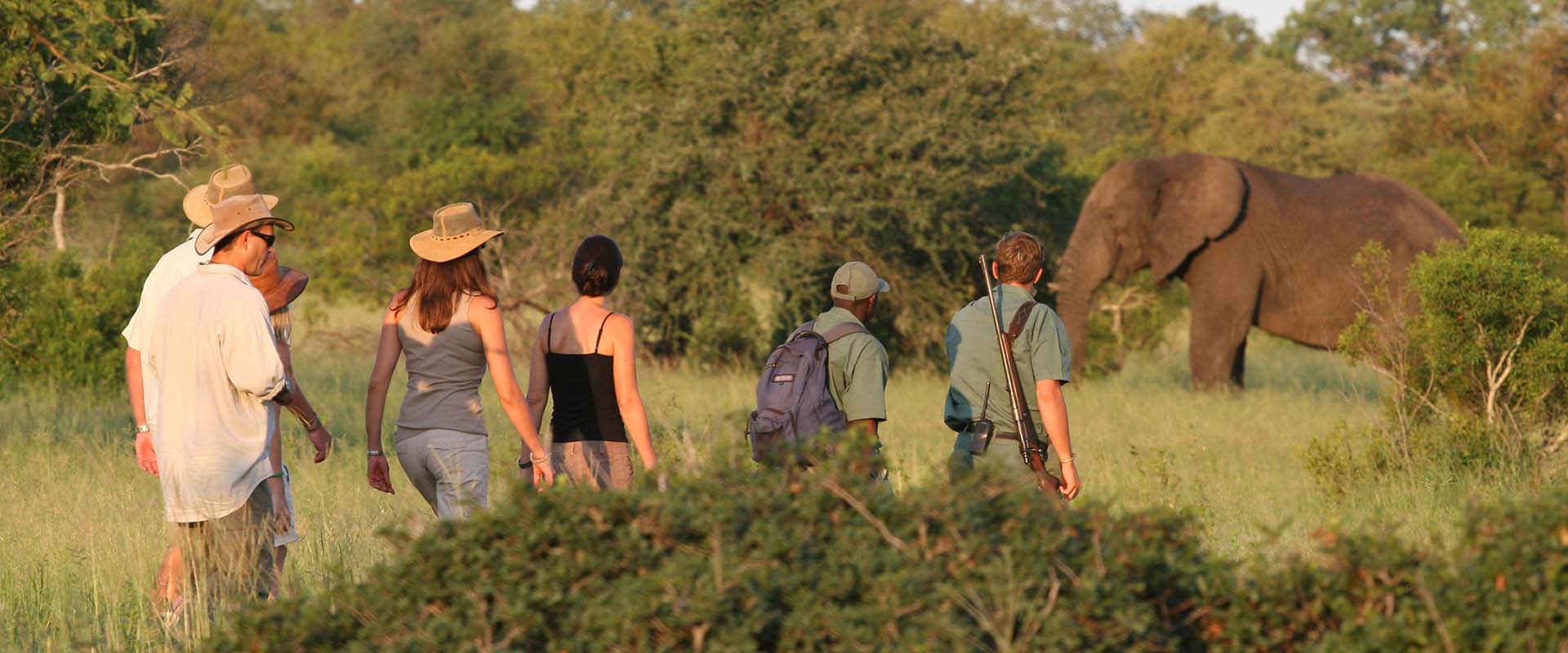 Rhino-Walking-Safaris walking safari con elefante nel kruger
