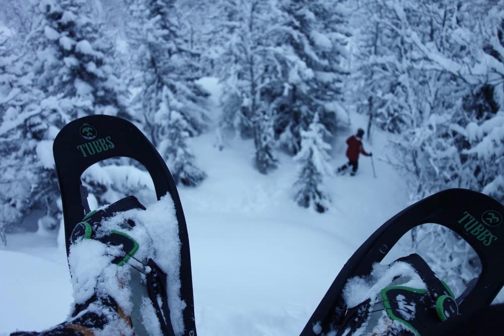 narvik-snowshoeing ciaspolata nella taiga