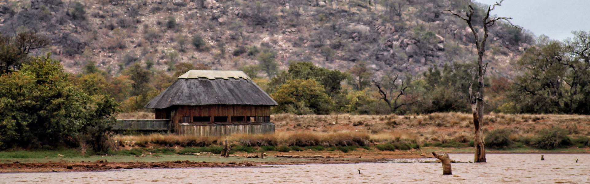 sable hide kruger sable hide nel kruger