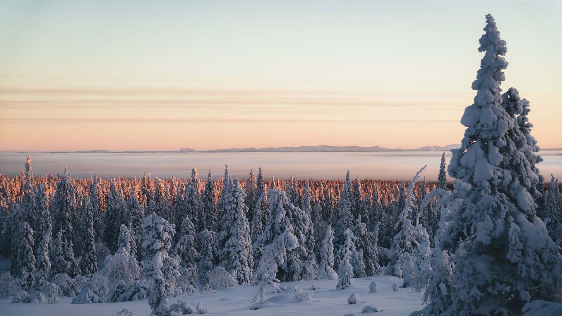 Riisitunturi-winter Riisitunturi in inverno