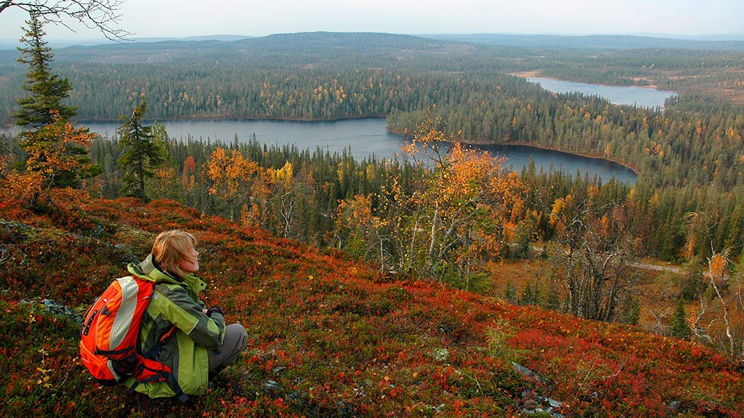 Riisitunturi_patikoija_syksy_1050px_MylenevanderDonk Paesaggio autunnale del Riisitunturi National Park
