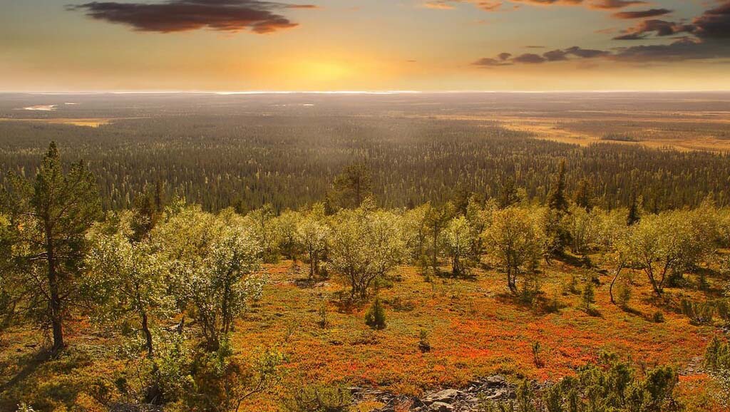 Urho-Kekkonen-National-Park-Finland-Lapland-small Tramonto sull'Urho Kekkonen National Park