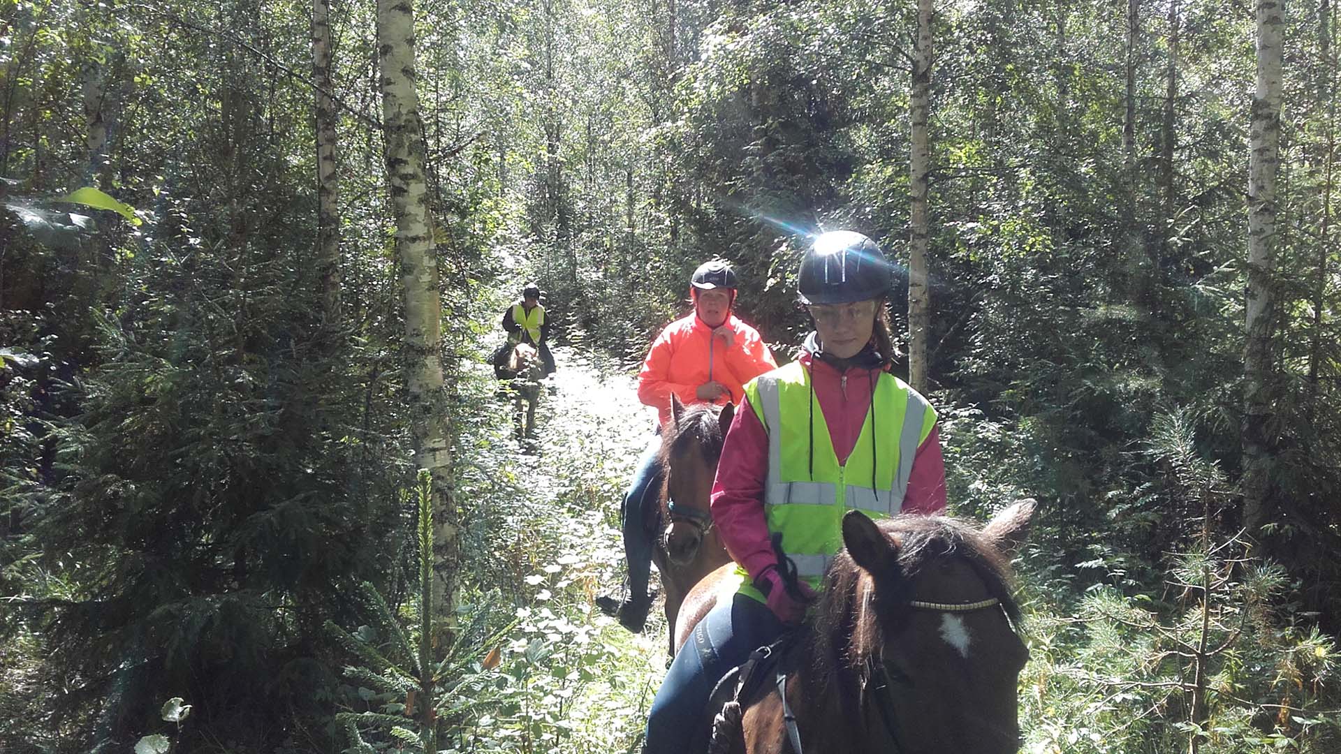 horse riding lake saimaa finland 3 a cavallo nella taiga del lago saimaa in estate