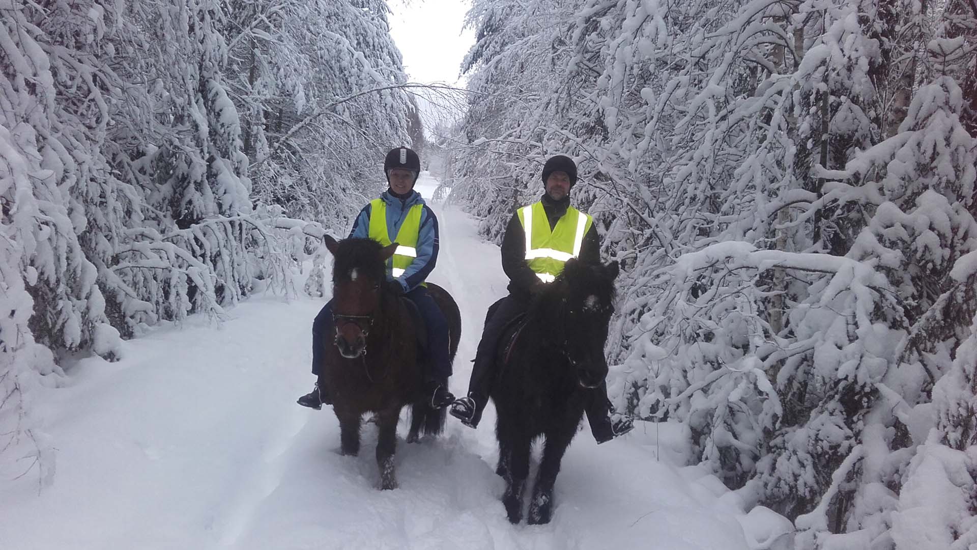 horse riding lake saimaa finland 4 a cavallo nella taiga del lago saimaa ricoperta di neve in inverno