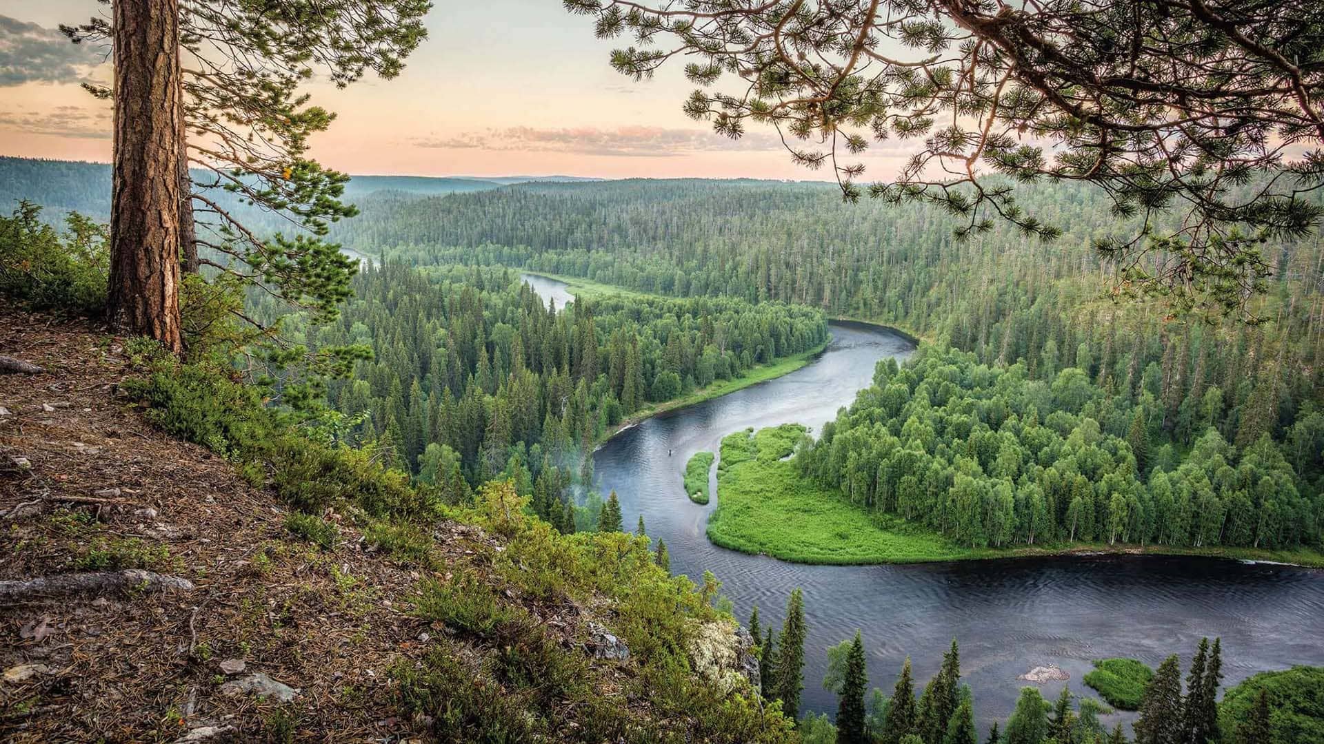 oulanka-national-park Escursione Oulanka National Park