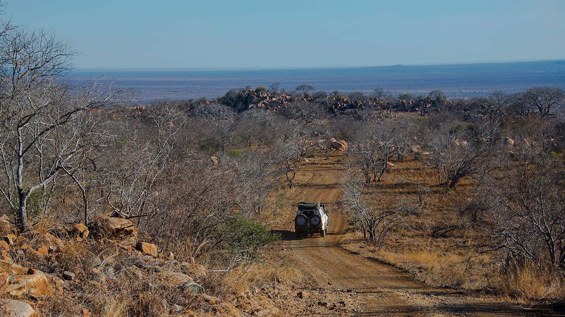 4x4-trail-kruger fuoristrada nella boscaglia del kruger