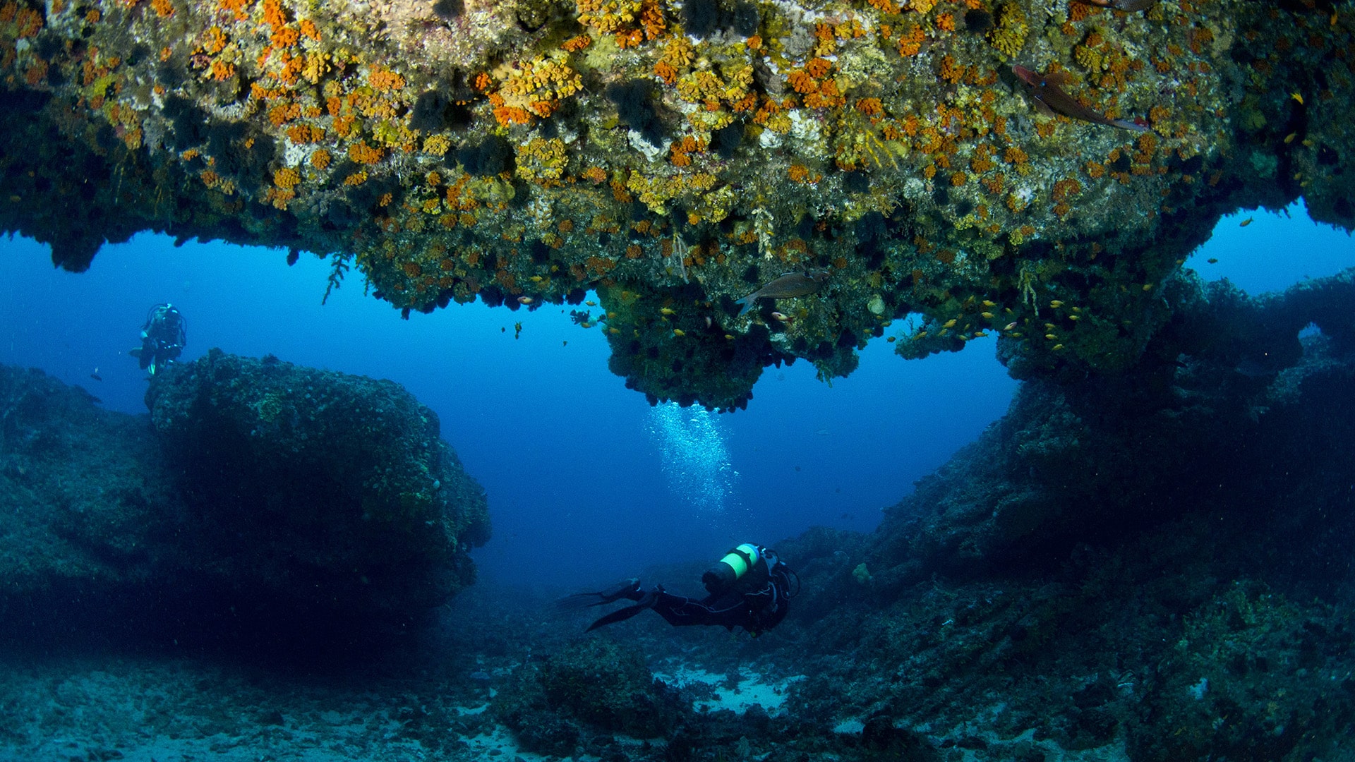 Protea Banks relitto nelle Protea Banks