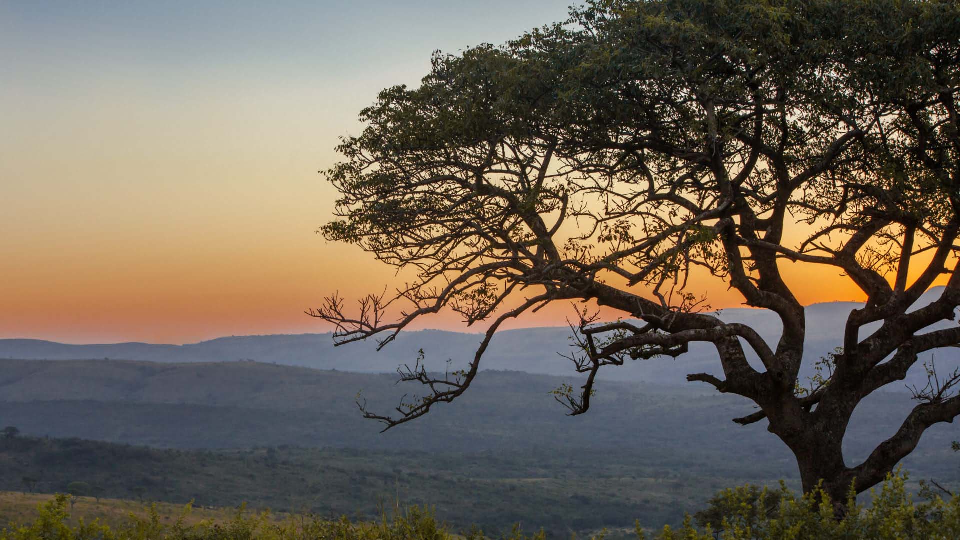 Hluhluwe-iMfolozi Park Safari Hluhluwe-iMfolozi Park