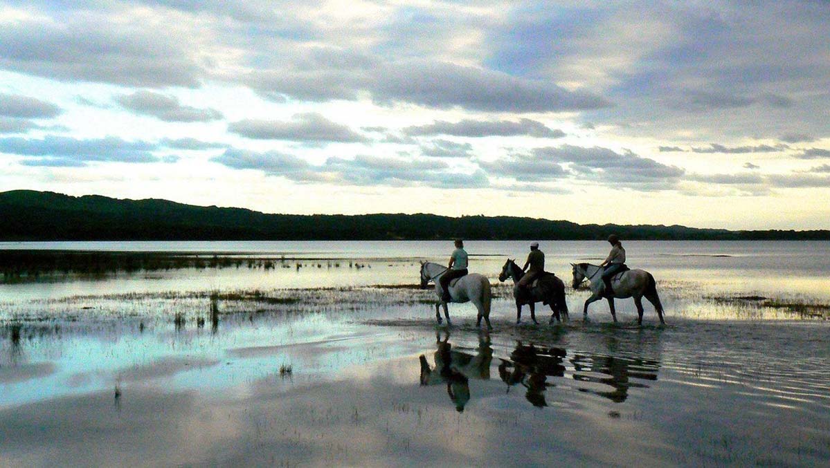 horse riding isimangaliso a cavallo nelle wetlands dell'Isimangaliso