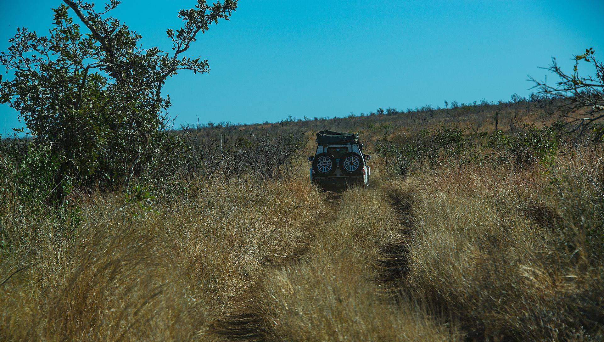 lebombo 4x4 jeep fra l'erba nella savana