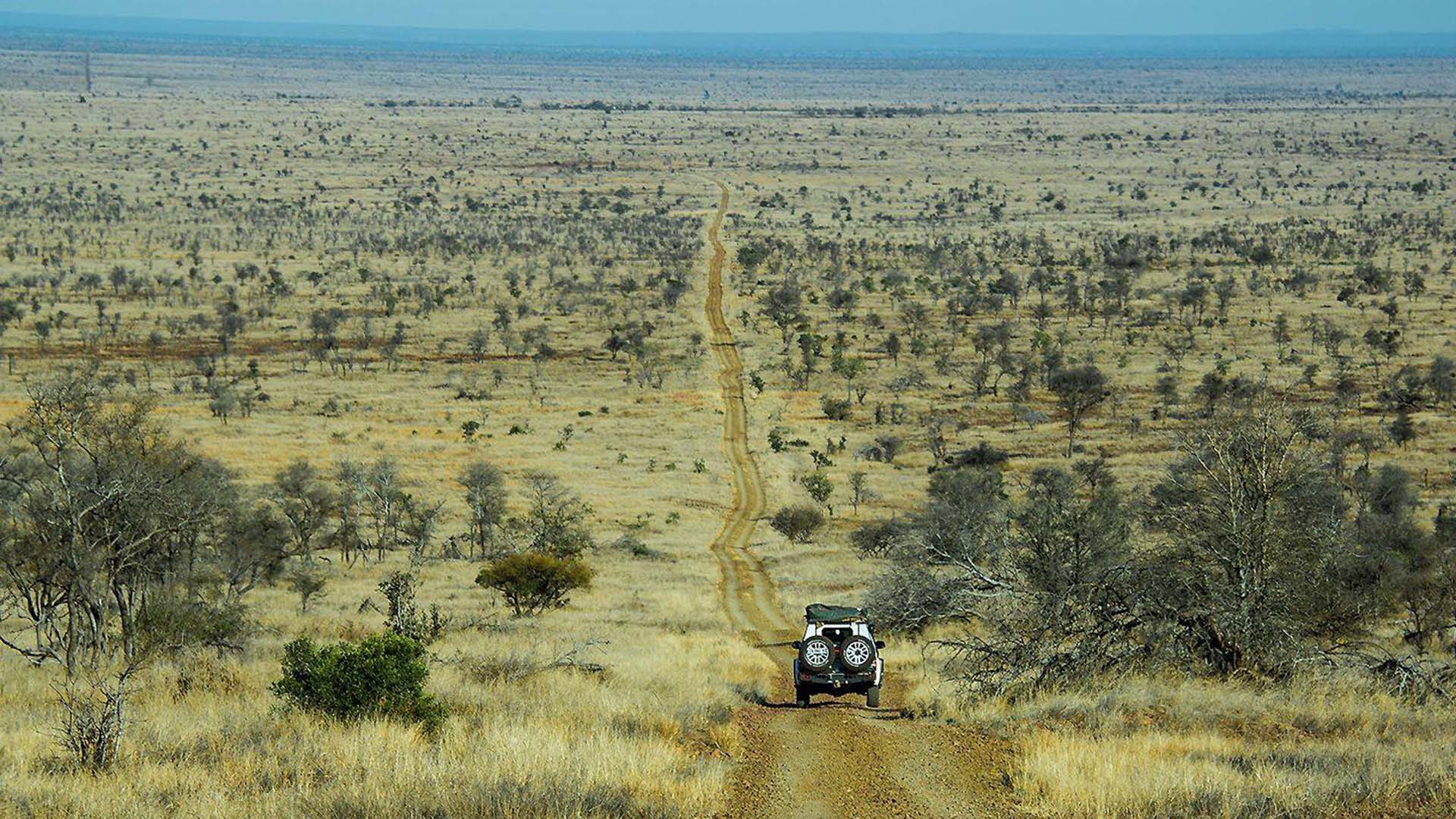 lebombo 4x4 big horizon jeep nella savana