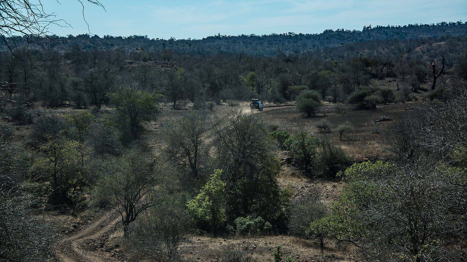 lebombo 4x4 savannah jeep lungo una pista sterrata del kruger
