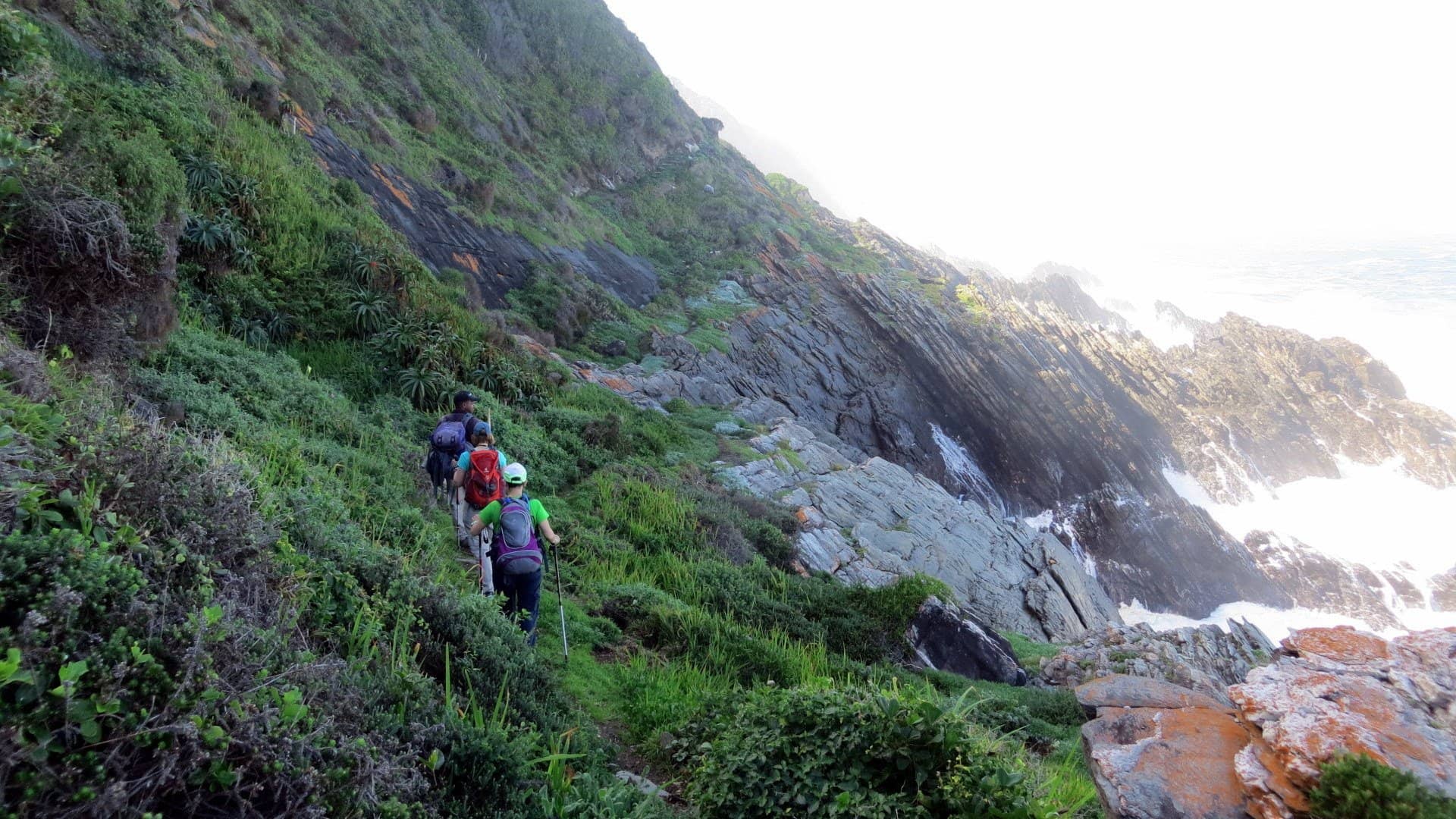 otter-trail-tsitsikamma-national-park trekking nel tsitsikamma