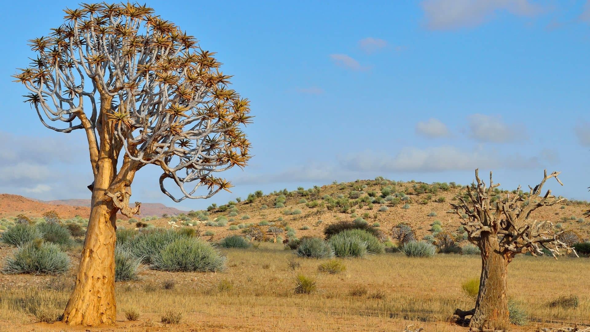 Augrabies Falls National Park Tour Augrabies Falls National Park