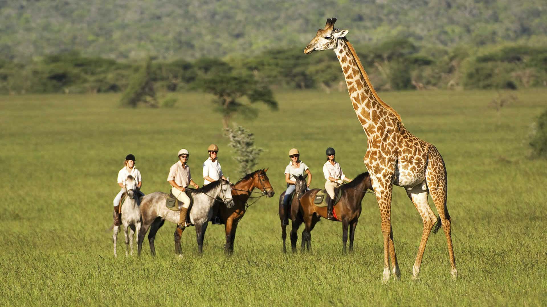 south africa horseback safari cavalieri vicino ad una giraffa