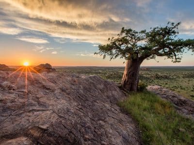 Mashatu-Game-Reserve-in-Botswana