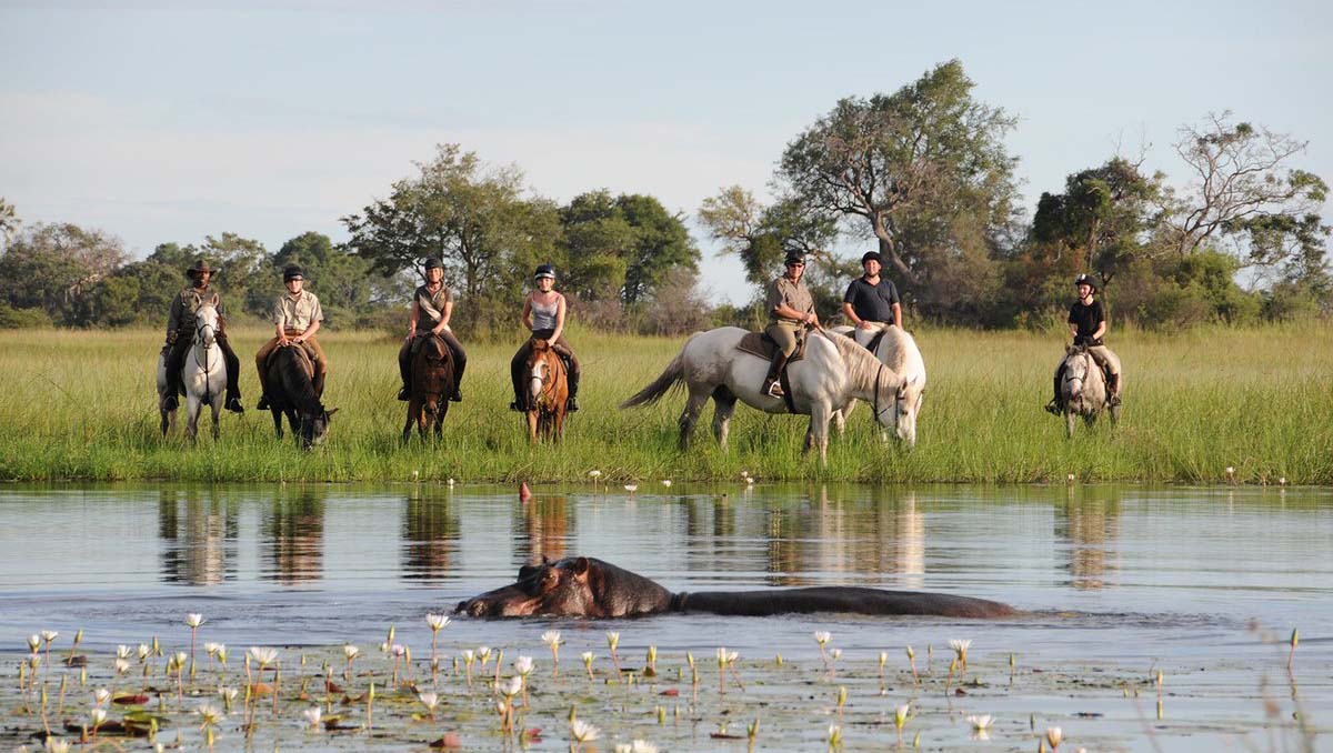 horseriding-hippo-okavango-delta-macatoo-camp-relation-07051.jpg.pagespeed.ic.vyKuoqKBvF safari a cavallo e ippopotamo