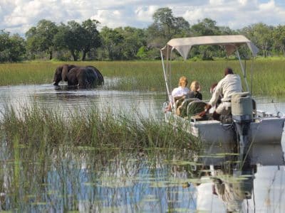 safari in barca nell'0kavango