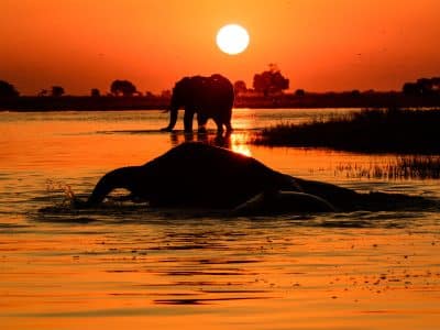 sunset-chobe-river