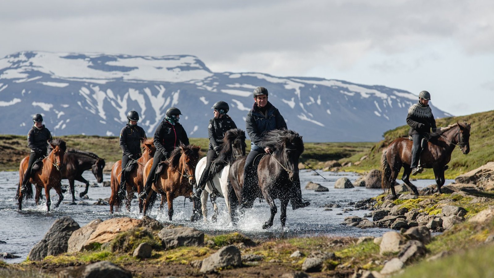 horse-riding iceland trekking a cavallo in Islanda