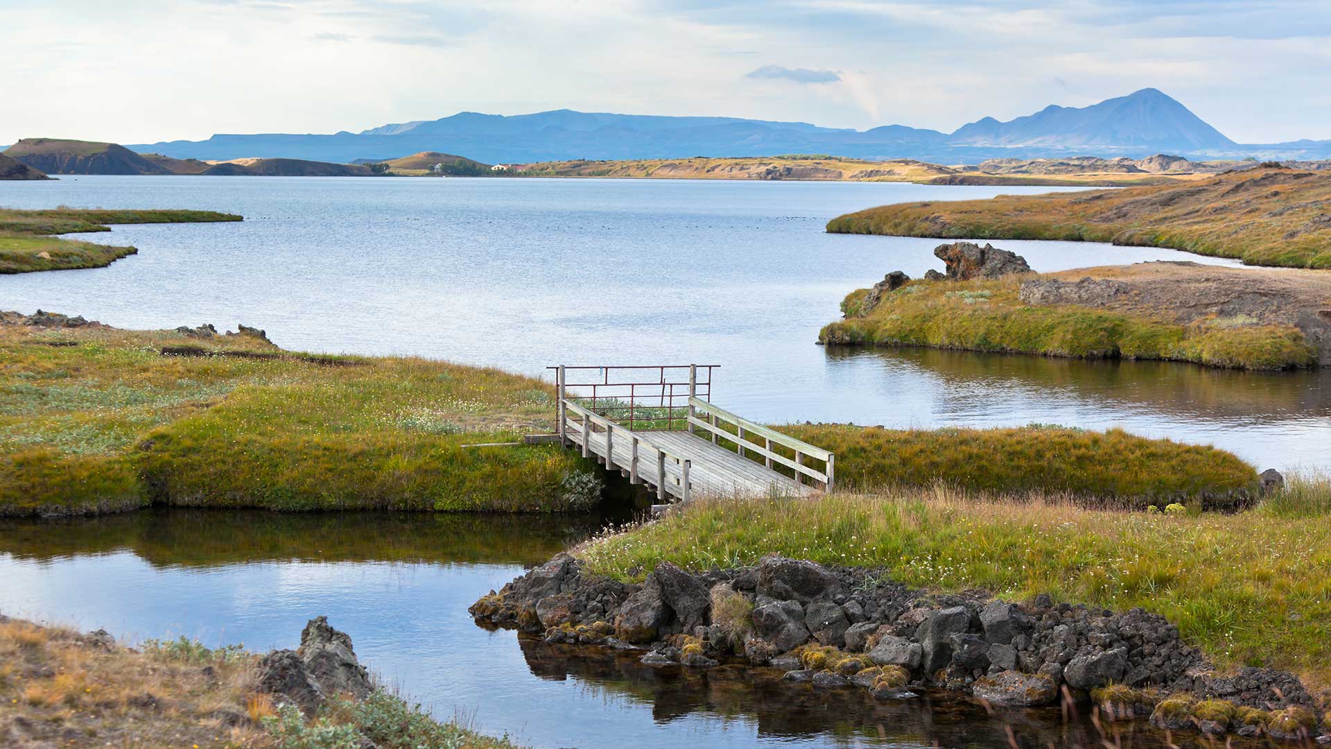 myvatn_lake_north_summer Tour Islanda del nord