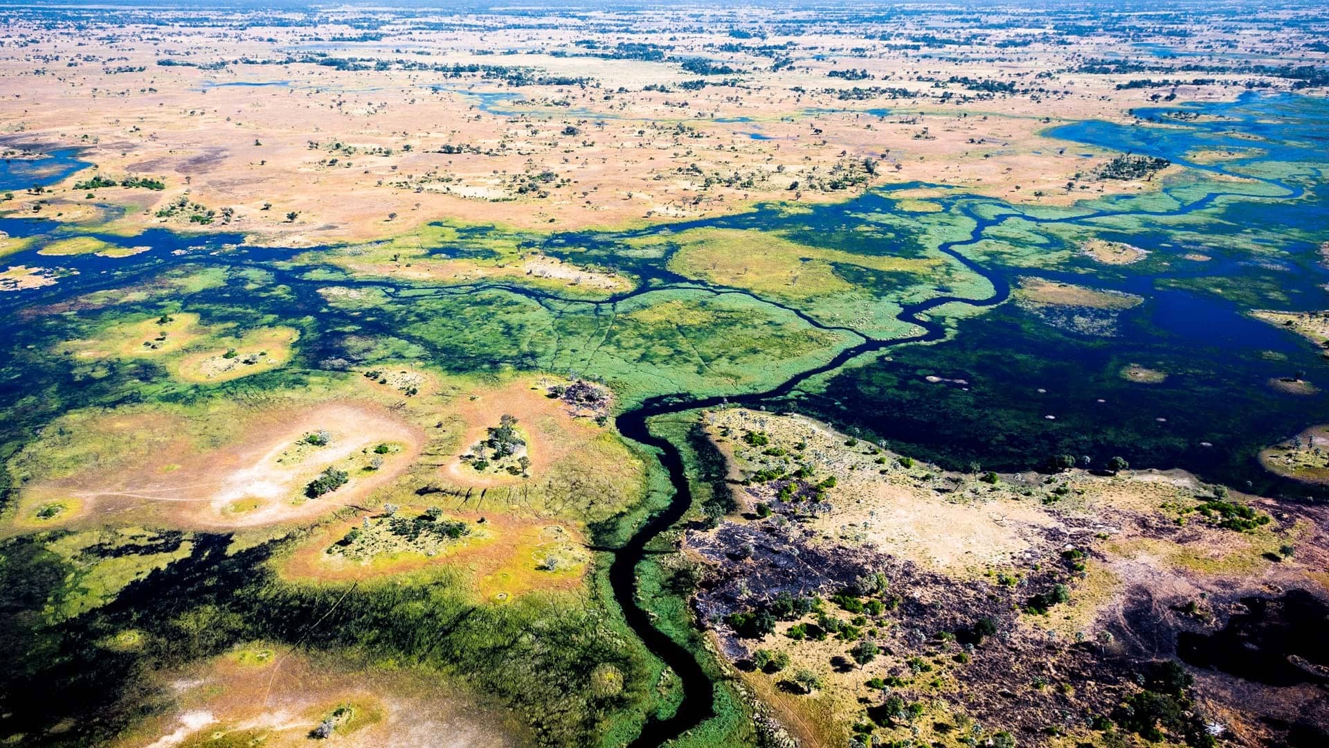 chief island botswana Vista aerea di Chief Island nel Delta dell'Okavango