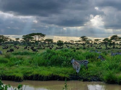 Tarangire-National-Park