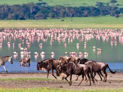 lake-manyara-national-park